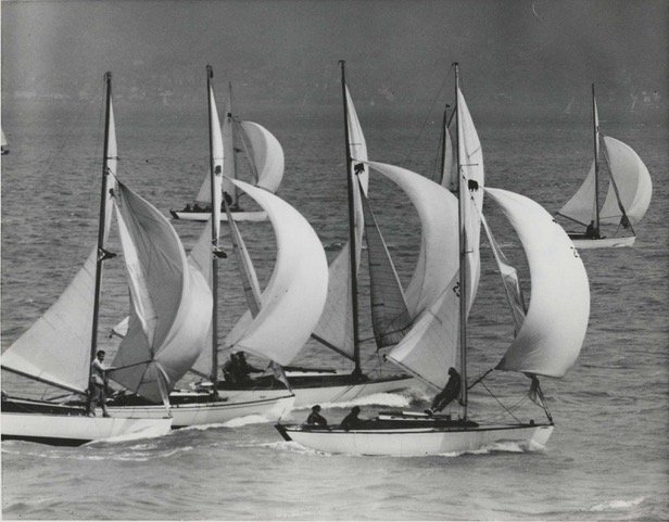 Bear fleet running downwind under spinnaker on San Francisco Bay, circa 1950