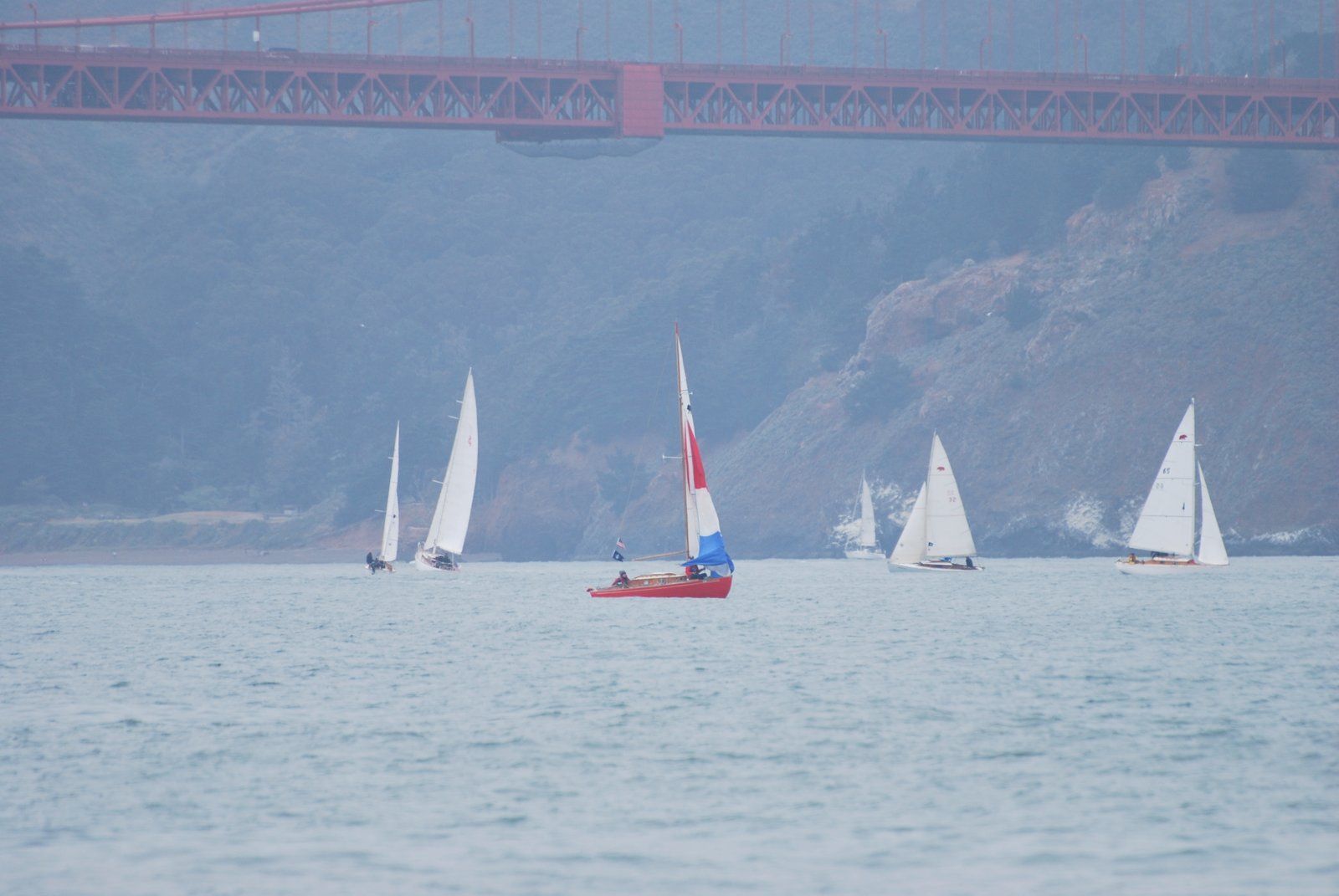 Bears racing beneath the Golden Gate Bridge during the 2015 Master Mariners Regatta