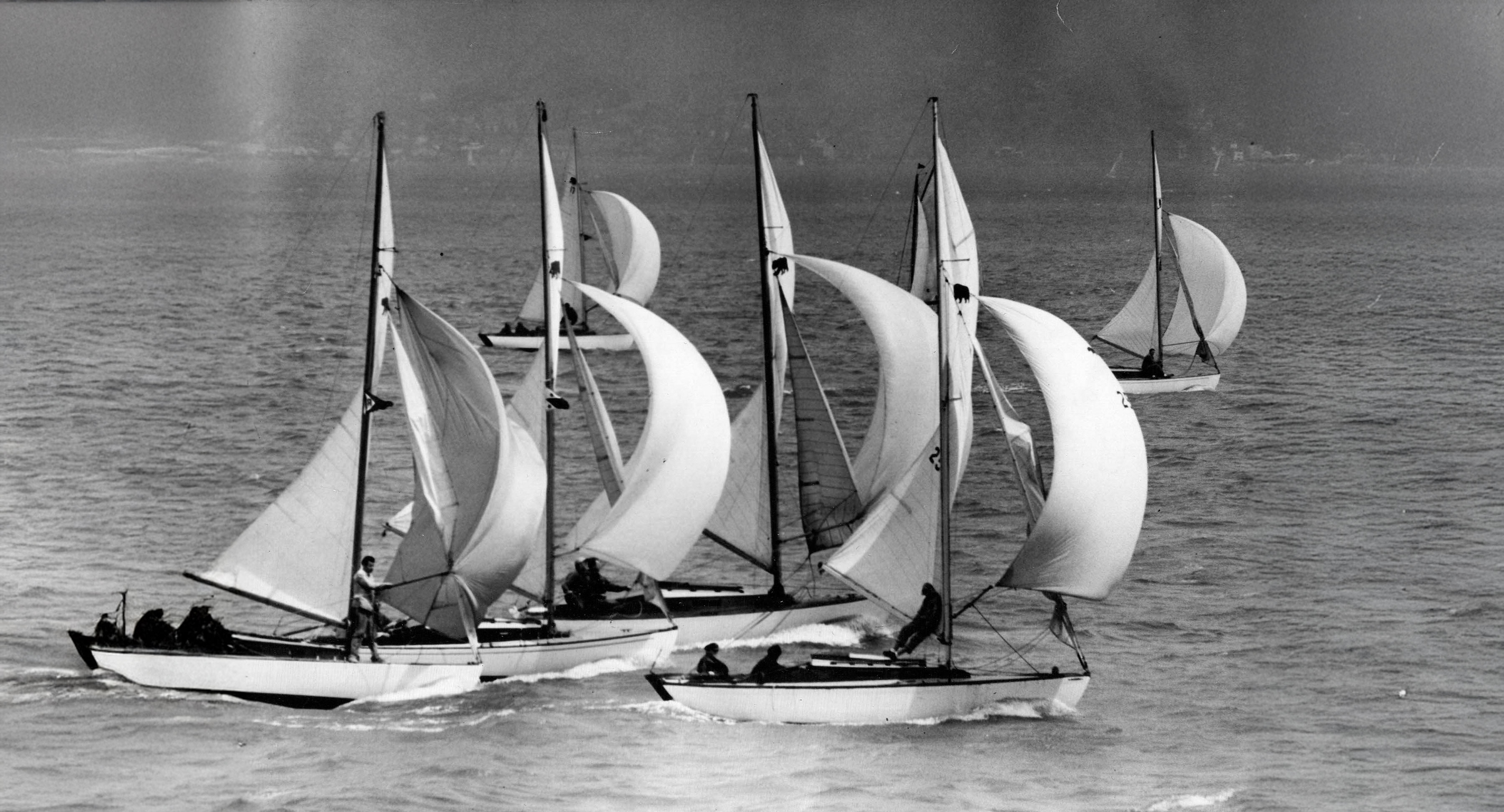 Bear Boats under spinnaker on San Francisco Bay
